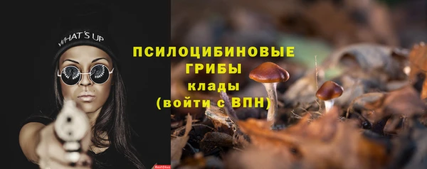 тгк Россошь