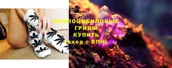 дурь Рославль