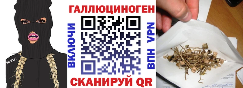 Псилоцибиновые грибы Psilocybe Узловая